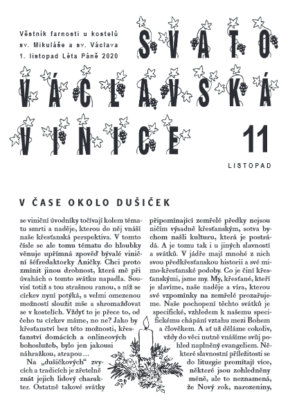 Vinice - listopad 2020