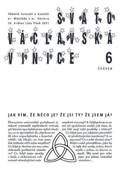 Vinice červen 2016