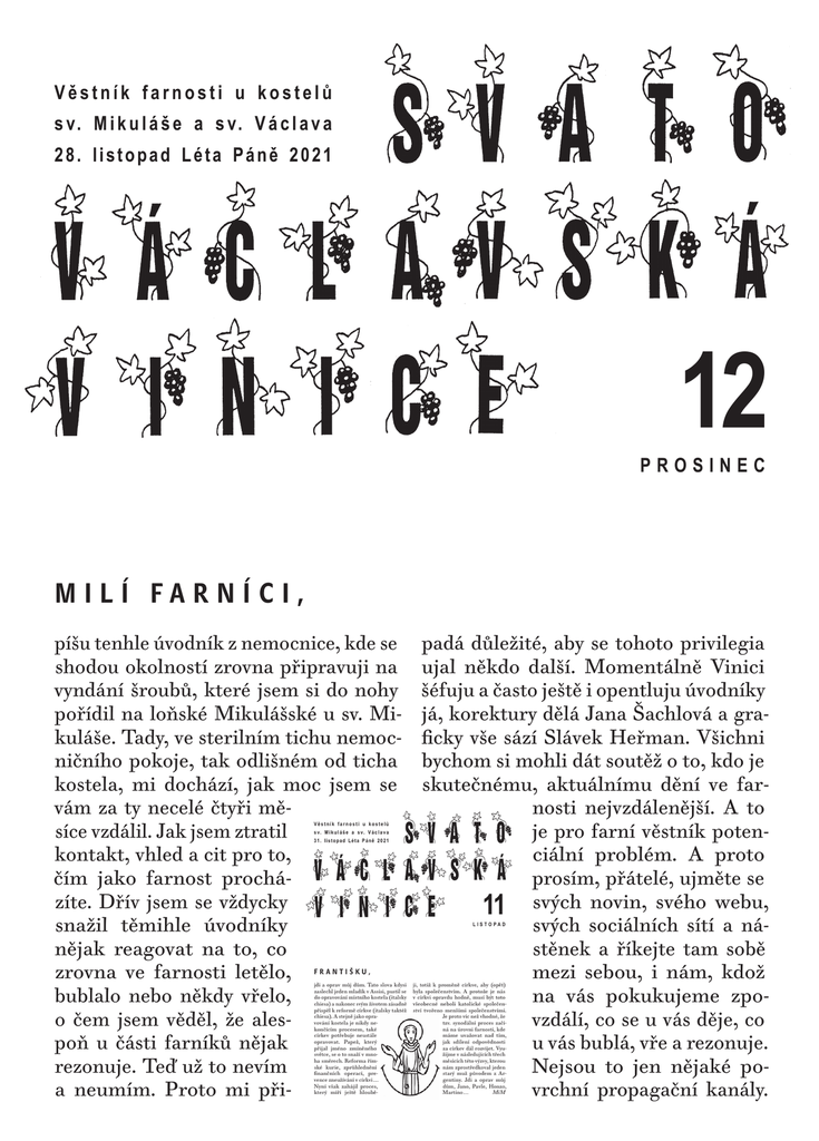 Vinice - prosinec 2021