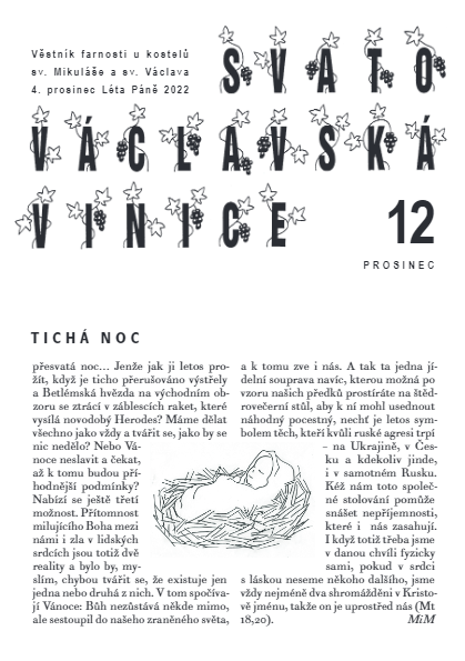 Vinice - prosinec 2022