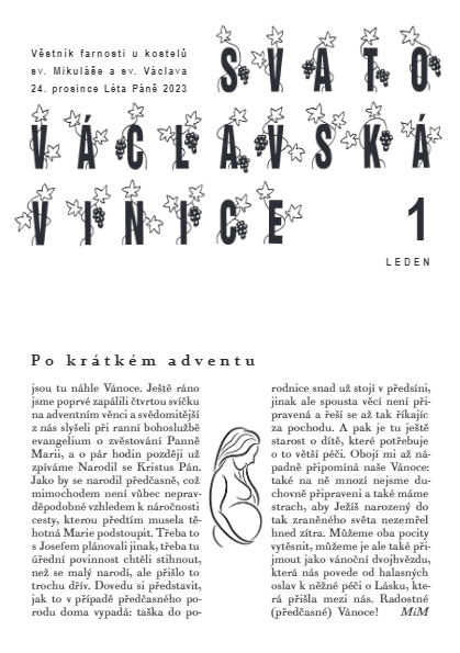 Vinice - leden 2024