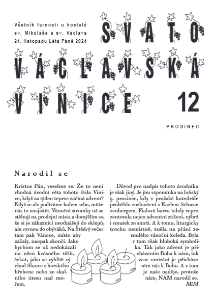 Vinice - prosinec 2024